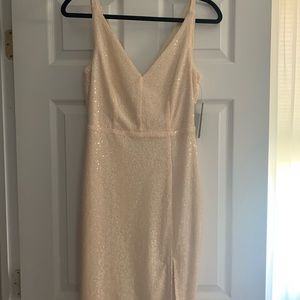Blush Sequin Lulu’s Dress - S